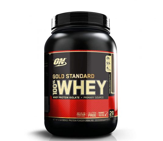 Optimum Nutrition ON Gold Standard 100 Whey Protein Powder 2 lbs Double Rich Chocolate Health Fitness India 1
