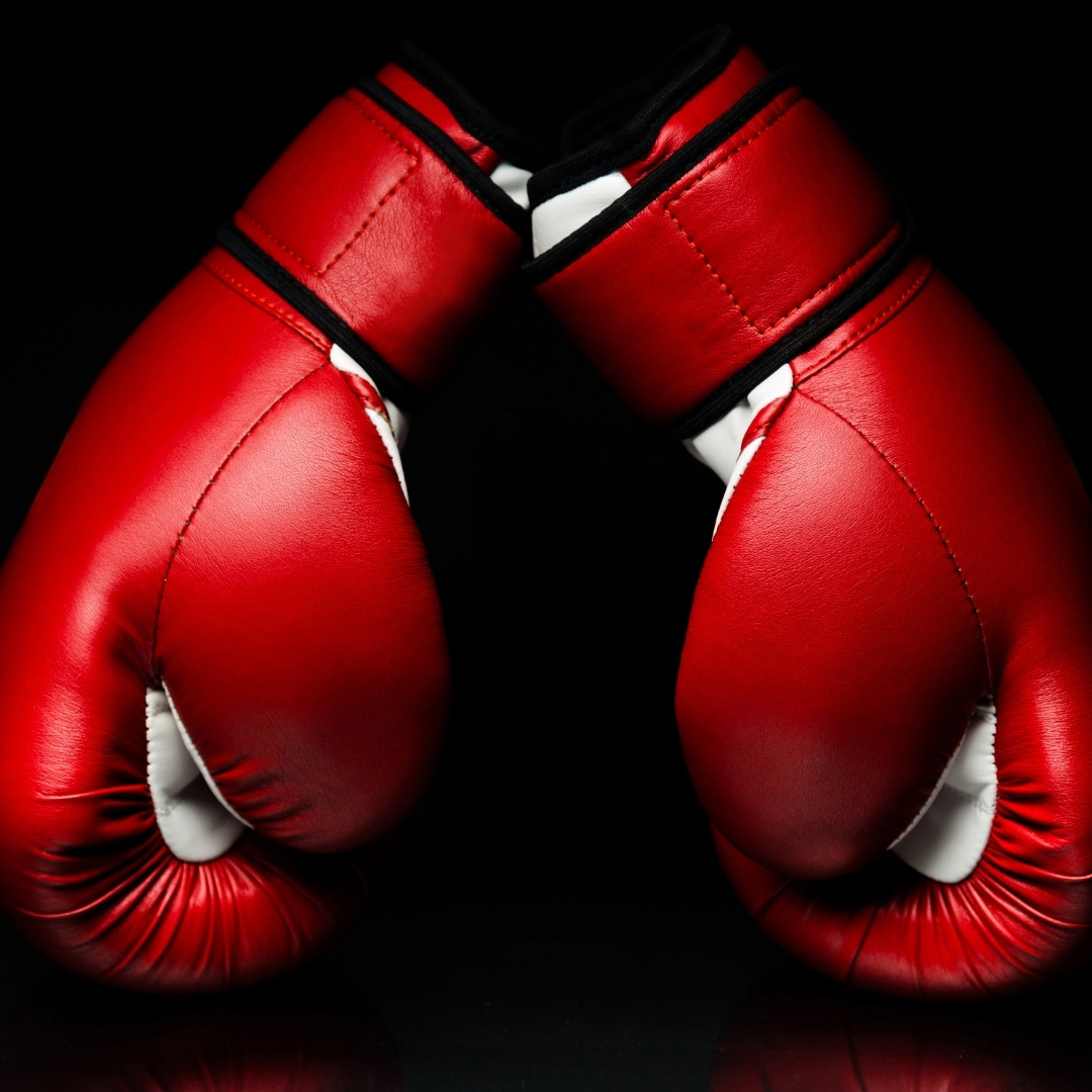Boxing Gloves Health and Fitness India