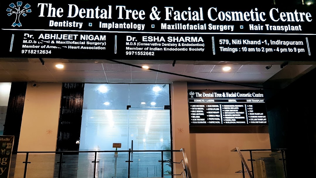 The Dental Tree And Facial Cosmetic Centre Best Dentist In Indirapuram Health Fitness India 1